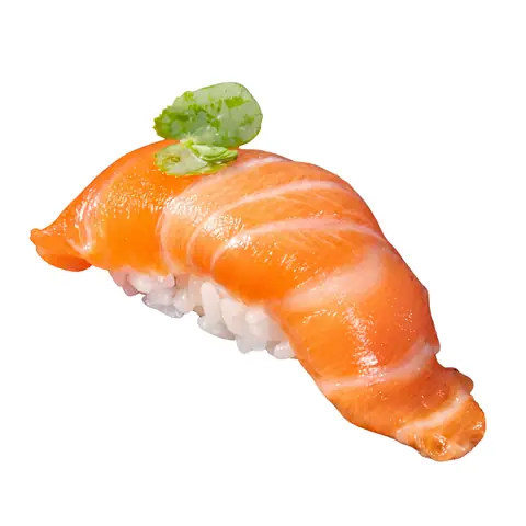 Salmon Sushi — Salmon